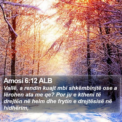 Amosi 6:12 ALB Bible Verse Image