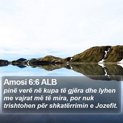 Amosi 6:6 ALB Bible Verse Image