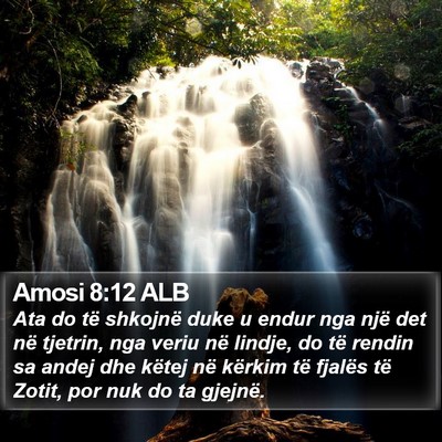 Amosi 8:12 ALB Bible Verse Image