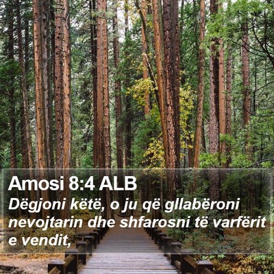 Amosi 8:4 ALB Bible Verse Image