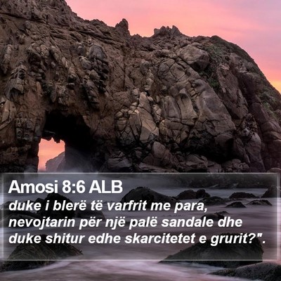 Amosi 8:6 ALB Bible Verse Image