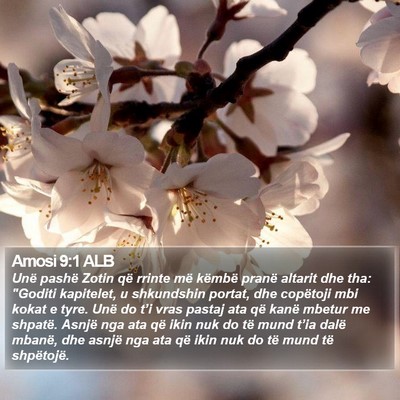 Amosi 9:1 ALB Bible Verse Image