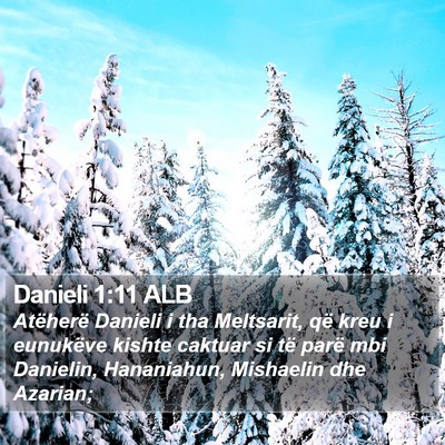 Danieli 1:11 ALB Bible Verse Image