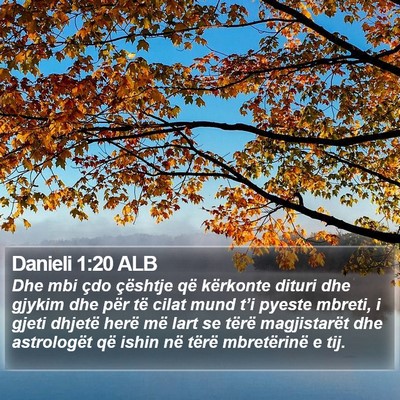 Danieli 1:20 ALB Bible Verse Image