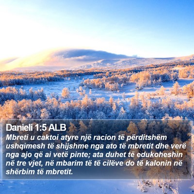 Danieli 1:5 ALB Bible Verse Image