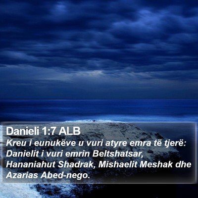 Danieli 1:7 ALB Bible Verse Image