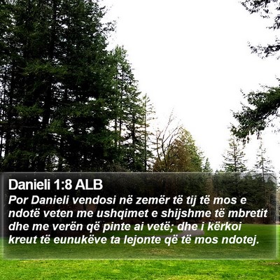 Danieli 1:8 ALB Bible Verse Image