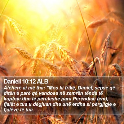 Danieli 10:12 ALB Bible Verse Image