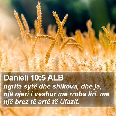 Danieli 10:5 ALB Bible Verse Image