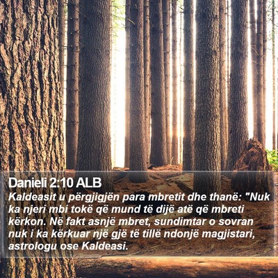 Danieli 2:10 ALB Bible Verse Image