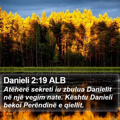 Danieli 2:19 ALB Bible Verse Image
