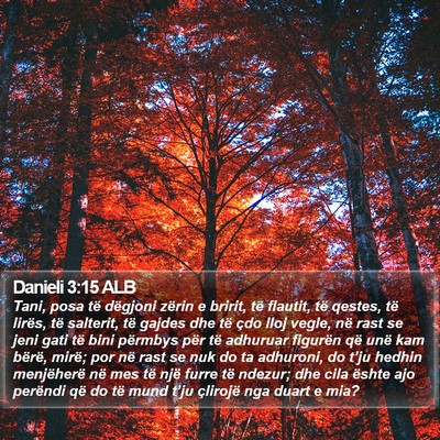 Danieli 3:15 ALB Bible Verse Image