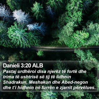 Danieli 3:20 ALB Bible Verse Image