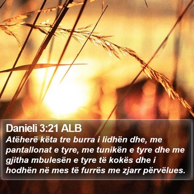 Danieli 3:21 ALB Bible Verse Image