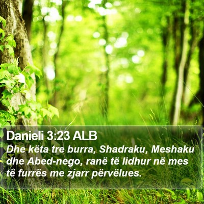Danieli 3:23 ALB Bible Verse Image