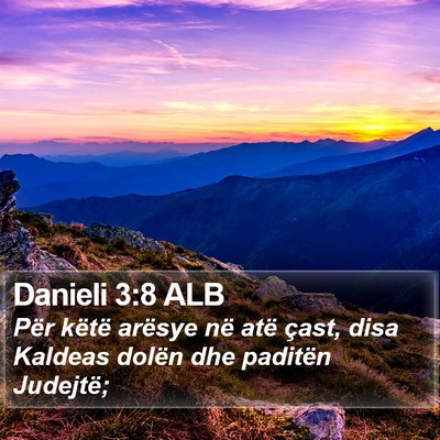 Danieli 3:8 ALB Bible Verse Image