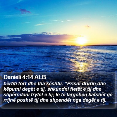 Danieli 4:14 ALB Bible Verse Image