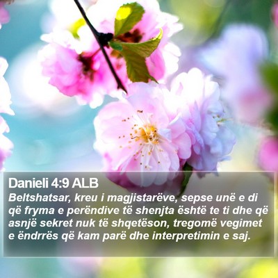 Danieli 4:9 ALB Bible Verse Image