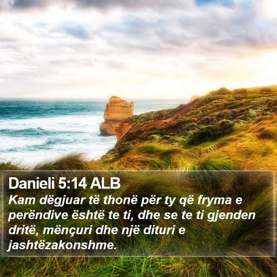 Danieli 5:14 ALB Bible Verse Image
