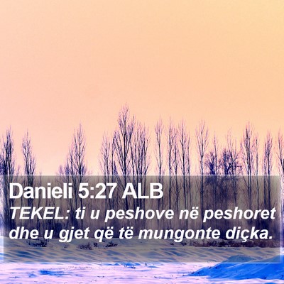 Danieli 5:27 ALB Bible Verse Image