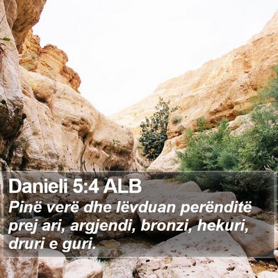 Danieli 5:4 ALB Bible Verse Image