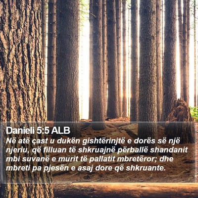 Danieli 5:5 ALB Bible Verse Image