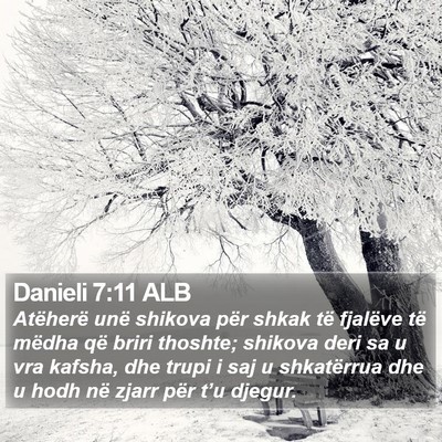 Danieli 7:11 ALB Bible Verse Image