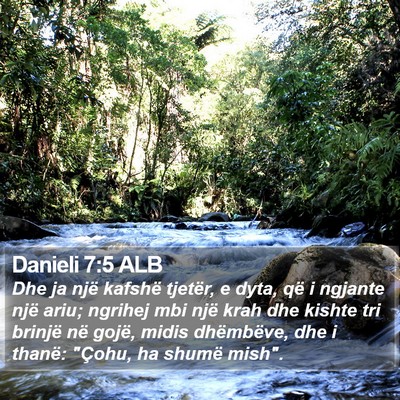 Danieli 7:5 ALB Bible Verse Image