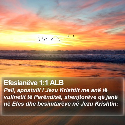 Efesianëve 1:1 ALB Bible Verse Image