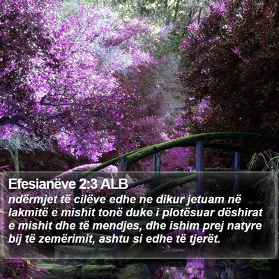 Efesianëve 2:3 ALB Bible Verse Image