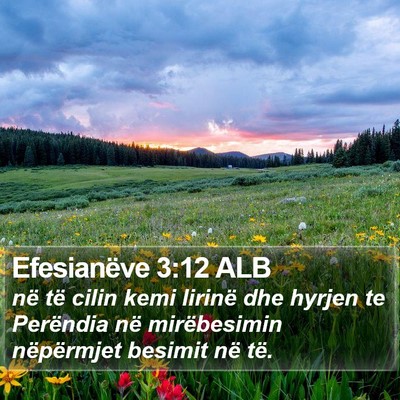 Efesianëve 3:12 ALB Bible Verse Image