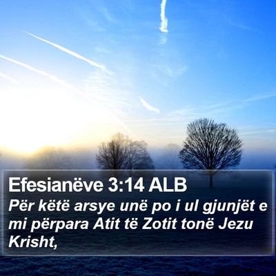 Efesianëve 3:14 ALB Bible Verse Image