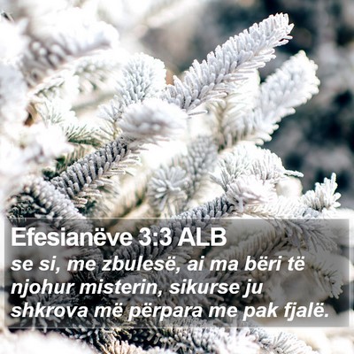 Efesianëve 3:3 ALB Bible Verse Image