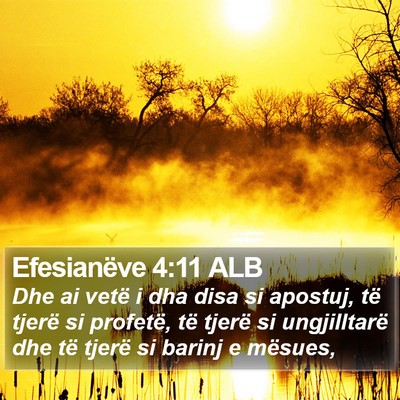 Efesianëve 4:11 ALB Bible Verse Image