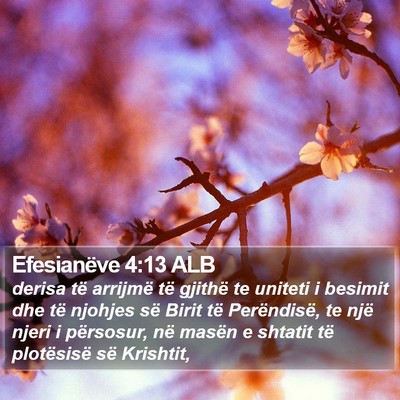 Efesianëve 4:13 ALB Bible Verse Image