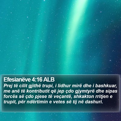 Efesianëve 4:16 ALB Bible Verse Image