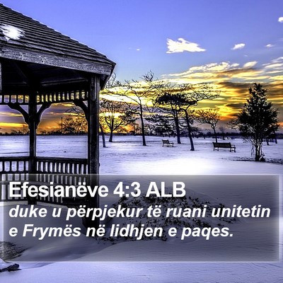 Efesianëve 4:3 ALB Bible Verse Image