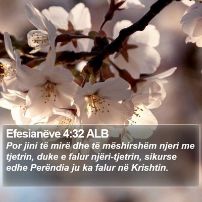 Efesianëve 4:32 ALB Bible Verse Image