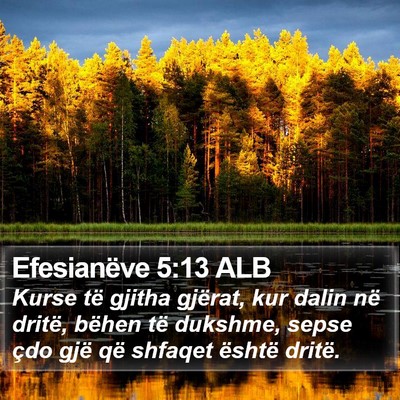 Efesianëve 5:13 ALB Bible Verse Image