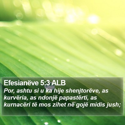 Efesianëve 5:3 ALB Bible Verse Image