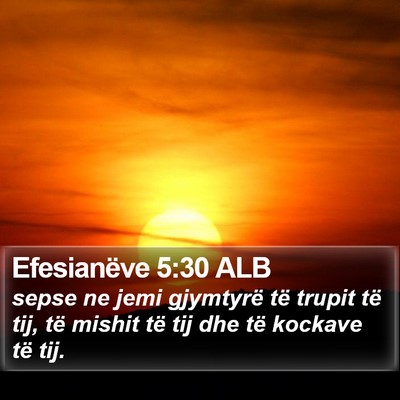 Efesianëve 5:30 ALB Bible Verse Image