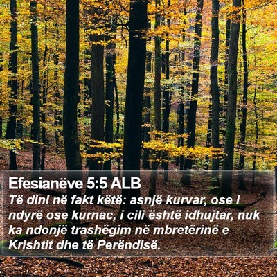 Efesianëve 5:5 ALB Bible Verse Image