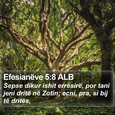 Efesianëve 5:8 ALB Bible Verse Image