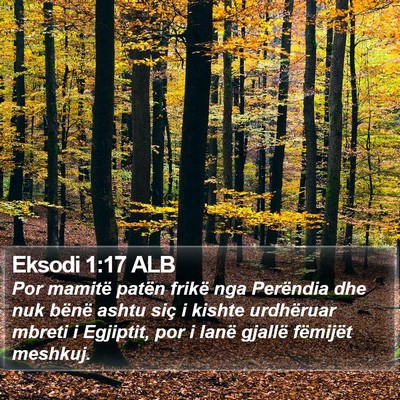 Eksodi 1:17 ALB Bible Verse Image