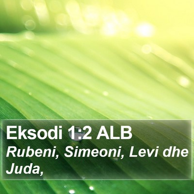 Eksodi 1:2 ALB Bible Verse Image