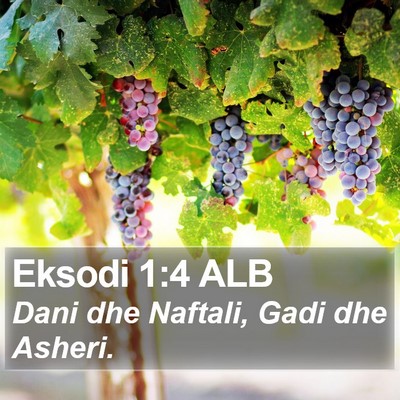 Eksodi 1:4 ALB Bible Verse Image