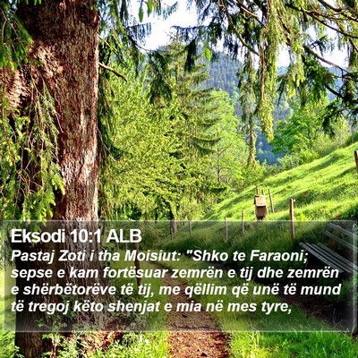 Eksodi 10:1 ALB Bible Verse Image