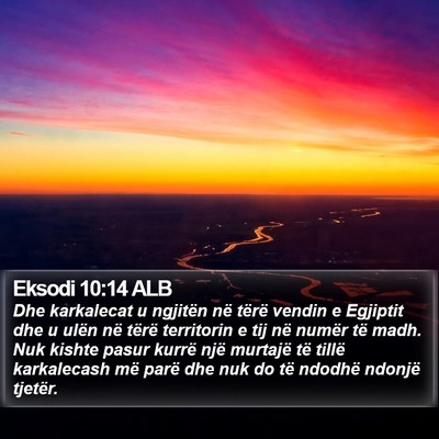 Eksodi 10:14 ALB Bible Verse Image