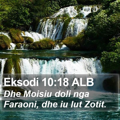 Eksodi 10:18 ALB Bible Verse Image