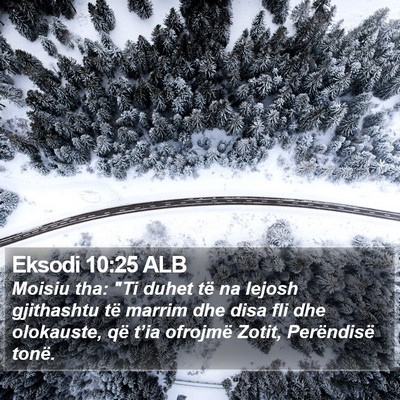 Eksodi 10:25 ALB Bible Verse Image